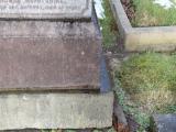 image of grave number 516671